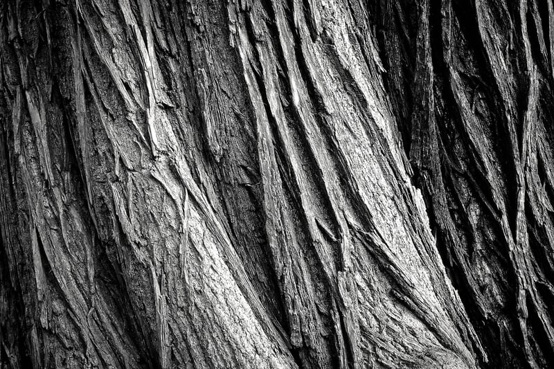 Natural Materials